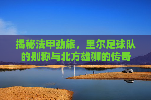 揭秘法甲劲旅,里尔足球队的别称与北方雄狮的传奇