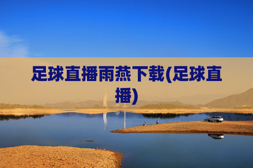 足球直播雨燕下载(足球直播)