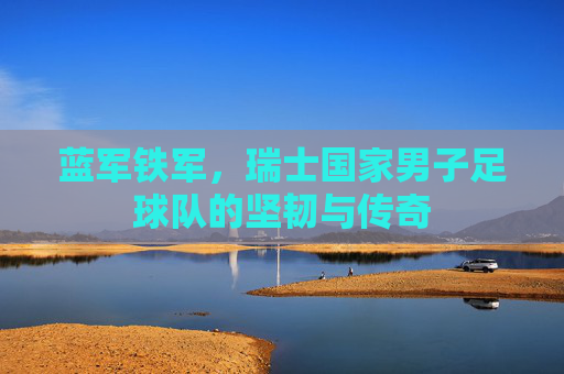 蓝军铁军,瑞士国家男子足球队的坚韧与传奇