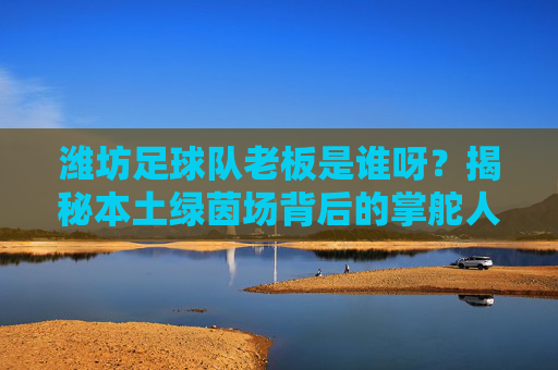 潍坊足球队老板是谁呀？揭秘本土绿茵场背后的掌舵人