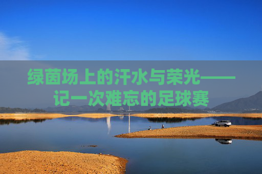 绿茵场上的汗水与荣光——记一次难忘的足球赛