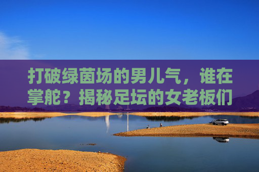 打破绿茵场的男儿气,谁在掌舵?揭秘足坛的女老板们