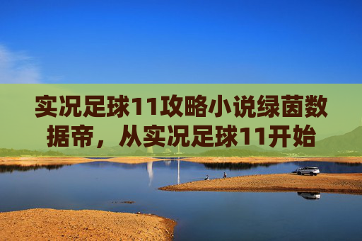 实况足球11攻略小说绿茵数据帝，从实况足球11开始的王朝霸业