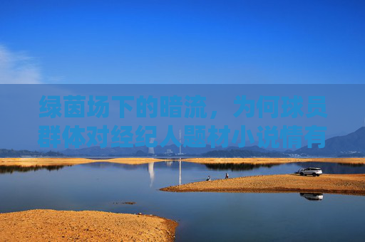 绿茵场下的暗流,为何球员群体对经纪人题材小说情有独钟?