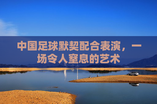 中国足球默契配合表演,一场令人窒息的艺术