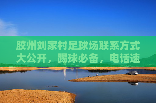 胶州刘家村足球场联系方式大公开,踢球必备,电话速存!
