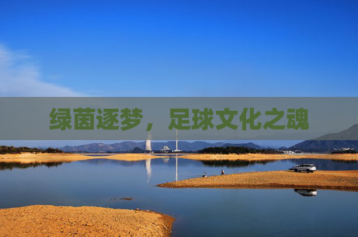 绿茵逐梦,足球文化之魂