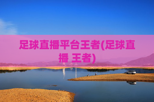 足球直播平台王者(足球直播 王者)