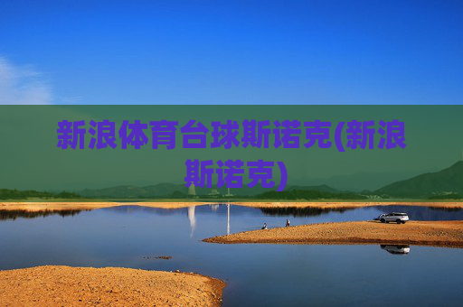 新浪体育台球斯诺克(新浪 斯诺克)