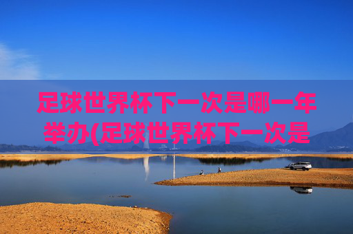 足球世界杯下一次是哪一年举办(足球世界杯下一次是哪一年举办的)