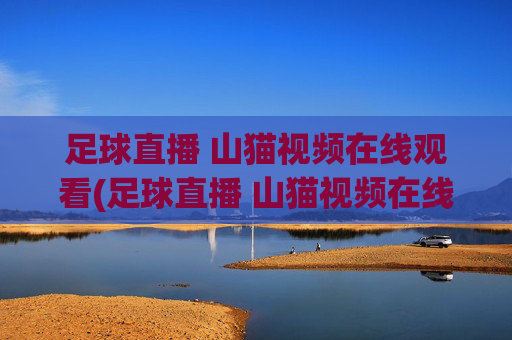 足球直播 山猫视频在线观看(足球直播 山猫视频在线观看免费)