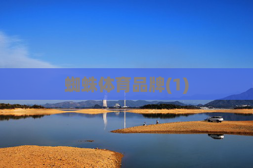 蜘蛛体育品牌(1)