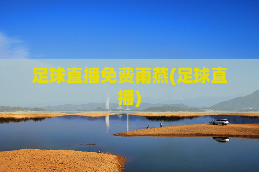 足球直播免费雨燕(足球直播)