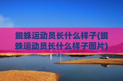 蜘蛛运动员长什么样子(蜘蛛运动员长什么样子图片)