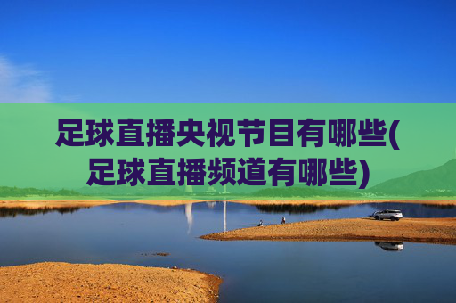 足球直播央视节目有哪些(足球直播频道有哪些)