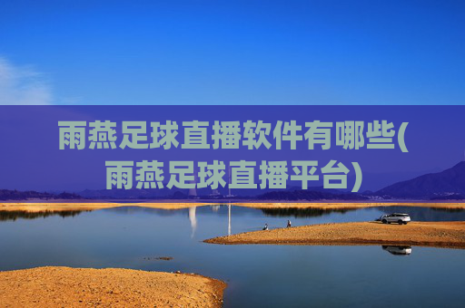 雨燕足球直播软件有哪些(雨燕足球直播平台)