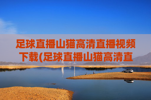 足球直播山猫高清直播视频下载(足球直播山猫高清直播视频下载安装)