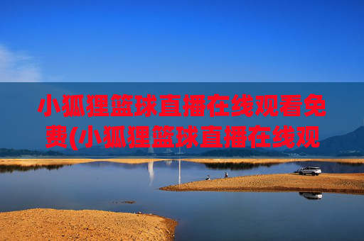 小狐狸篮球直播在线观看免费(小狐狸篮球直播在线观看免费视频)