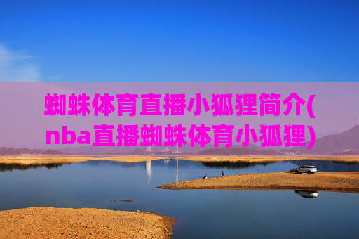 蜘蛛体育直播小狐狸简介(nba直播蜘蛛体育小狐狸)