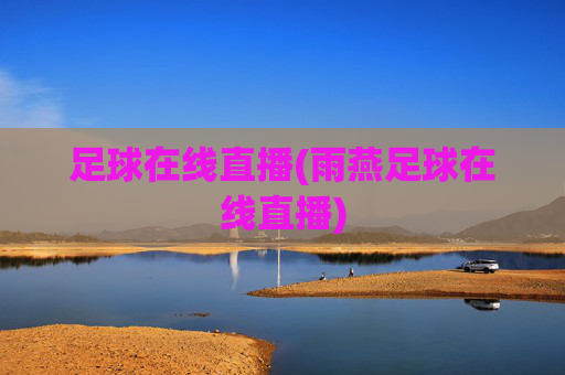 足球在线直播(雨燕足球在线直播)