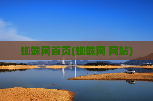 蜘蛛网首页(蜘蛛网 网站)