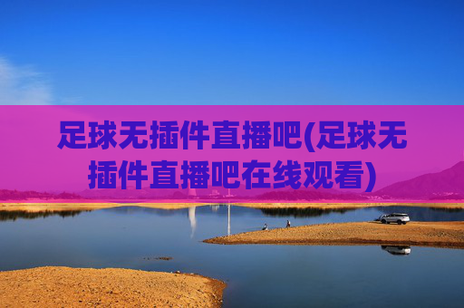 足球无插件直播吧(足球无插件直播吧在线观看)