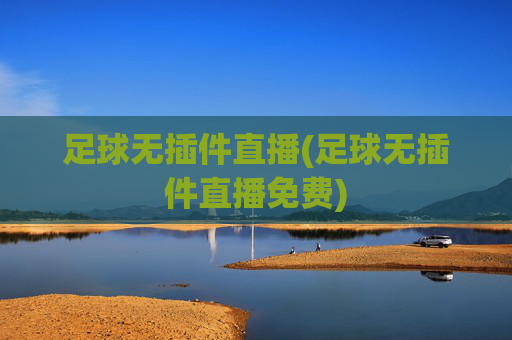 足球无插件直播(足球无插件直播免费)