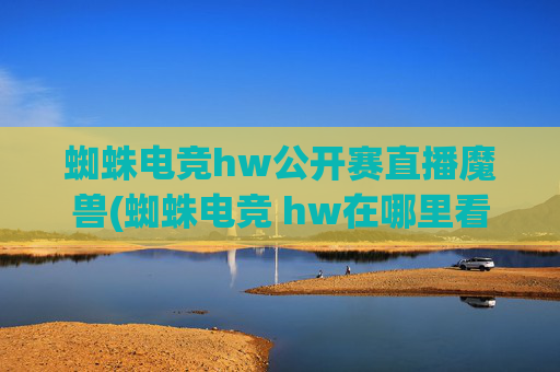 蜘蛛电竞hw公开赛直播魔兽(蜘蛛电竞 hw在哪里看)