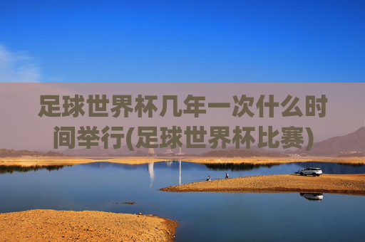 足球世界杯几年一次什么时间举行(足球世界杯比赛)