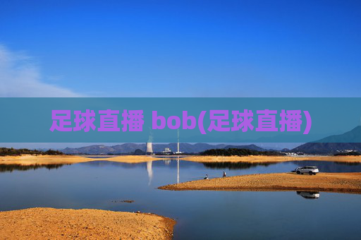 足球直播 bob(足球直播)