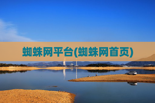 蜘蛛网平台(蜘蛛网首页)