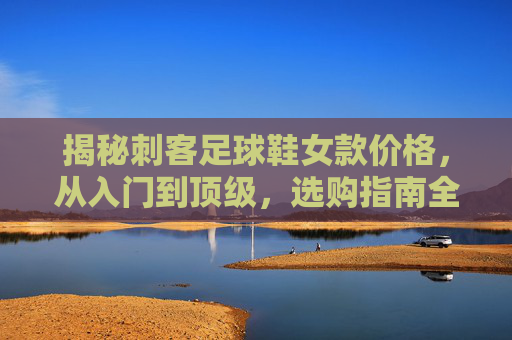 揭秘刺客足球鞋女款价格,从入门到顶级,选购指南全解析