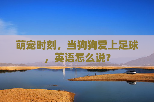 萌宠时刻,当狗狗爱上足球,英语怎么说?