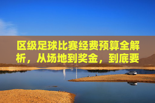区级足球比赛经费预算全解析,从场地到奖金,到底要花多少钱?