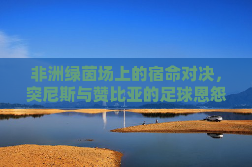 非洲绿茵场上的宿命对决，突尼斯与赞比亚的足球恩怨