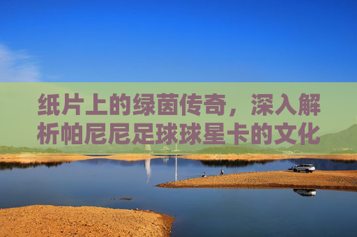 纸片上的绿茵传奇,深入解析帕尼尼足球球星卡的文化与价值