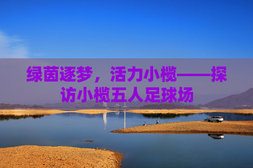 绿茵逐梦,活力小榄——探访小榄五人足球场