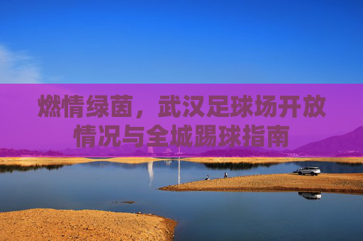 燃情绿茵,武汉足球场开放情况与全城踢球指南