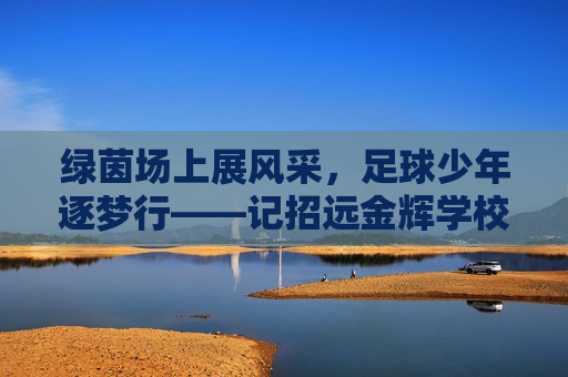 绿茵场上展风采,足球少年逐梦行——记招远金辉学校足球比赛
