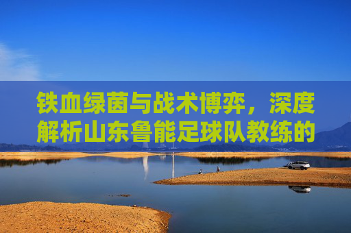 铁血绿茵与战术博弈,深度解析山东鲁能足球队教练的更迭与传承