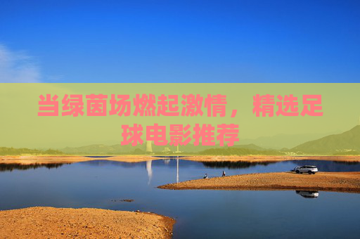 当绿茵场燃起激情,精选足球电影推荐