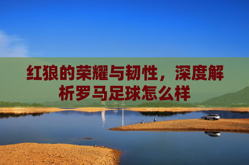红狼的荣耀与韧性,深度解析罗马足球怎么样