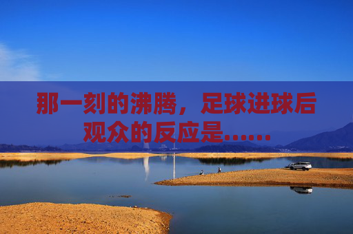 那一刻的沸腾，足球进球后观众的反应是……