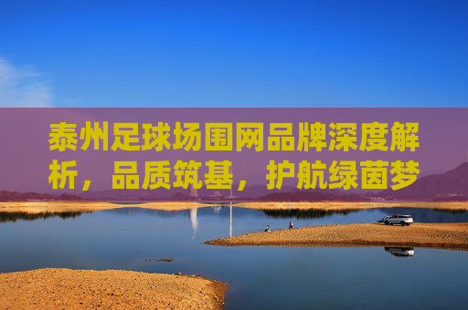 泰州足球场围网品牌深度解析,品质筑基,护航绿茵梦想