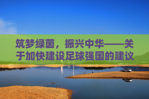 筑梦绿茵,振兴中华——关于加快建设足球强国的建议书