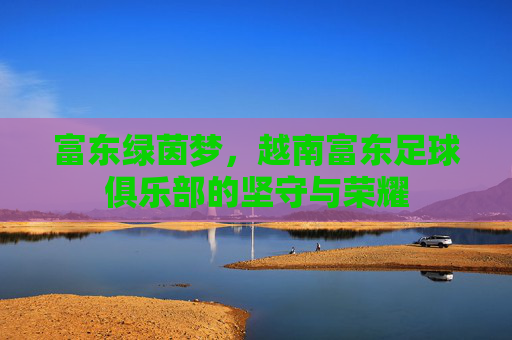 富东绿茵梦，越南富东足球俱乐部的坚守与荣耀