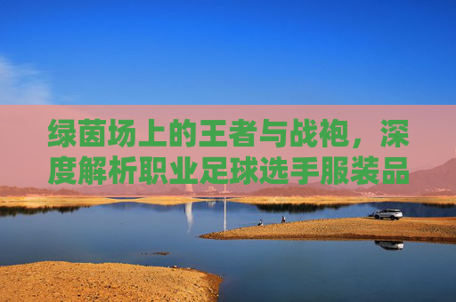 绿茵场上的王者与战袍,深度解析职业足球选手服装品牌的魅力与科技
