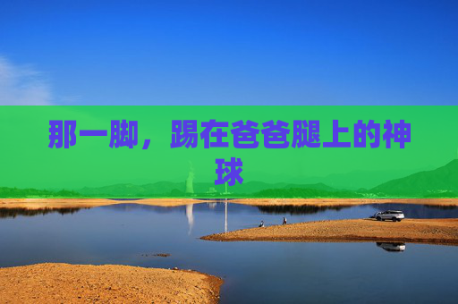 那一脚,踢在爸爸腿上的神球
