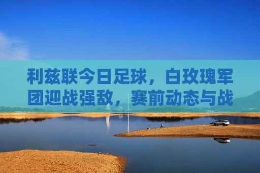 利兹联今日足球,白玫瑰军团迎战强敌,赛前动态与战术全解析