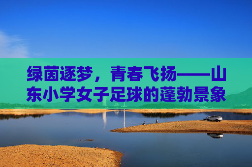 绿茵逐梦,青春飞扬——山东小学女子足球的蓬勃景象